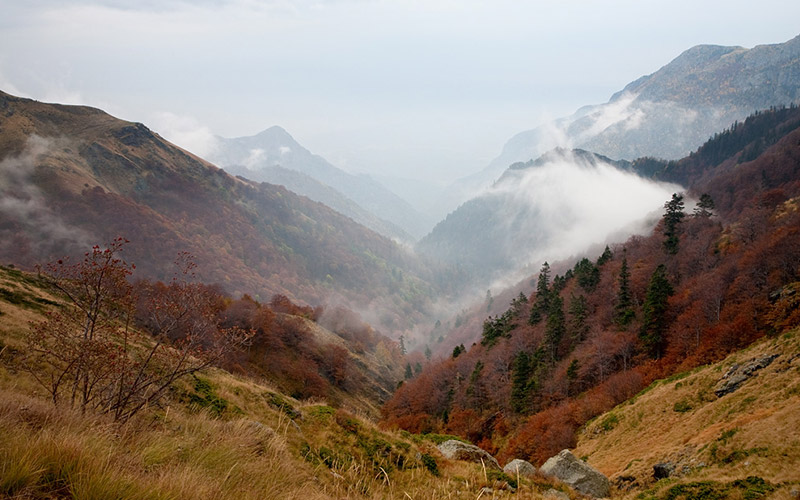 Dzhendema Reserve, Bulgaria