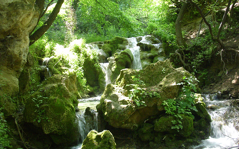 Red Wall reserve, Bulgaria