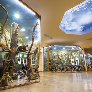 Природонаучен музей в Пловдив