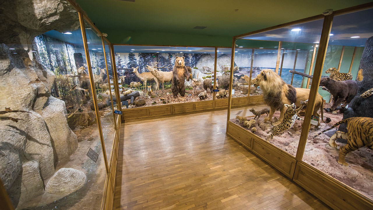 Visit the Regional Museum of Natural History with Plovdiv City Card